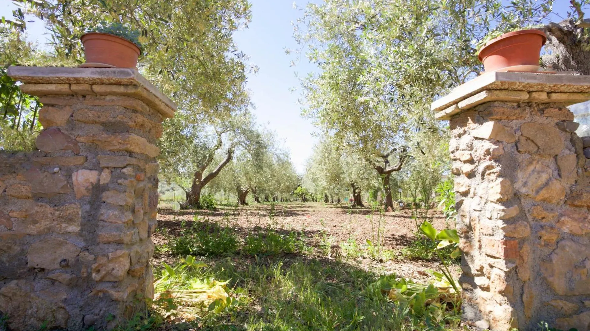 Villa Pedra Moro Alghero 0*,
